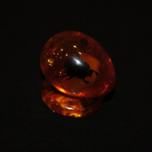 Amber souvenir Egg with bug