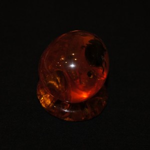 Amber souvenir Egg with bug