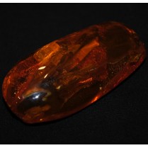 Vintage amber brooch with inclusive